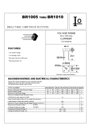 Datasheet BR1010 manufacturer Bytes