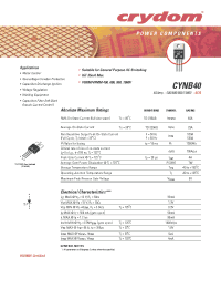 Datasheet CYNB40-1000 manufacturer Неопределенные