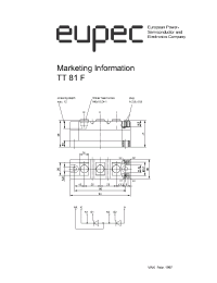 Datasheet DT81F manufacturer Eupec