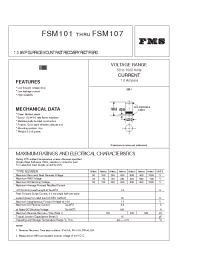 Datasheet FSM101 manufacturer Formosa