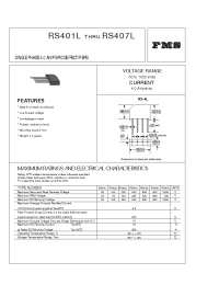 Datasheet RS404L manufacturer Formosa
