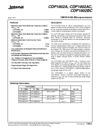 Datasheet CDP1802ACD manufacturer Intersil