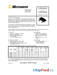 Datasheet USB0405 manufacturer Microsemi