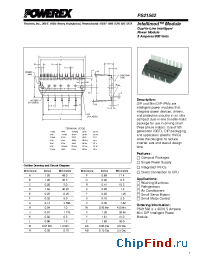 Datasheet PS21562 manufacturer Powerex