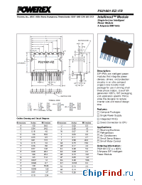 Datasheet PS21661-RZ manufacturer Powerex