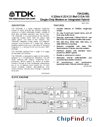 Datasheet 73K224BL-IGT manufacturer TDK