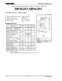 Datasheet SM16GZ51 manufacturer Toshiba
