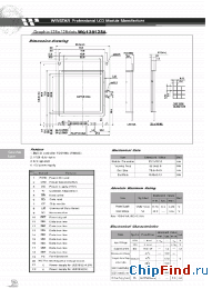 Datasheet PM61300-1 manufacturer Winstar