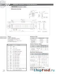 Datasheet WH2002L manufacturer Winstar